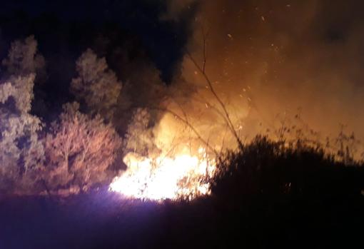 Incendio en paraje Arroyo Ardachón