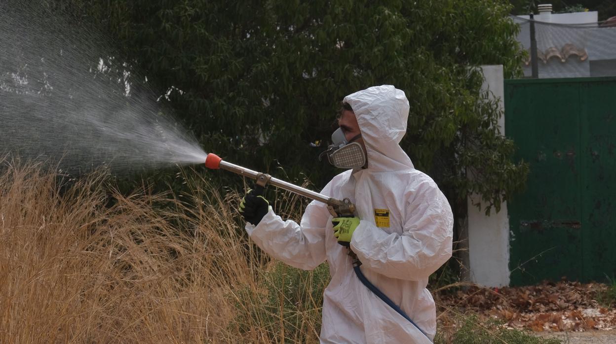 Fumigación contra el mosquito en Puerto Real.