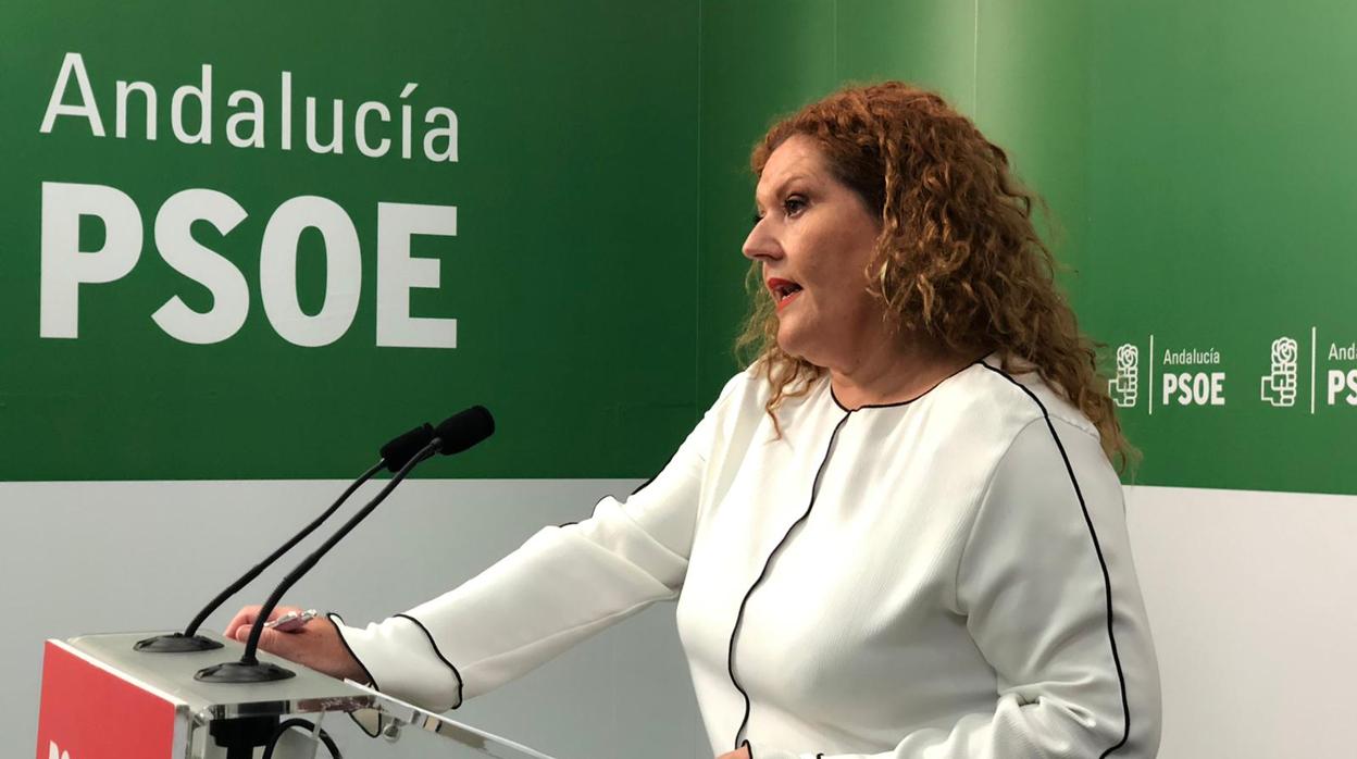 Araceli Maese durante la rueda de prensa.