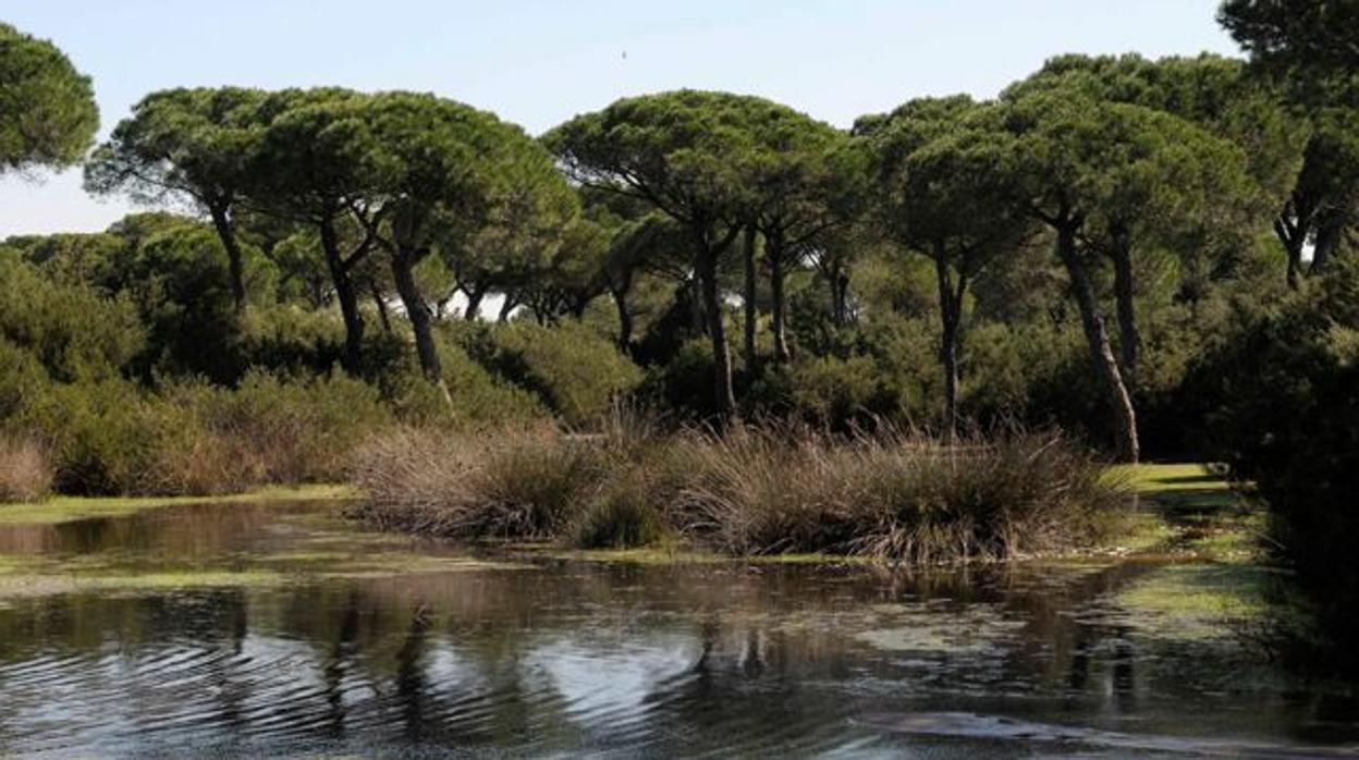 Los primeros indicios descartan la muerte violenta en el hallazgo de un cadáver en El Puerto