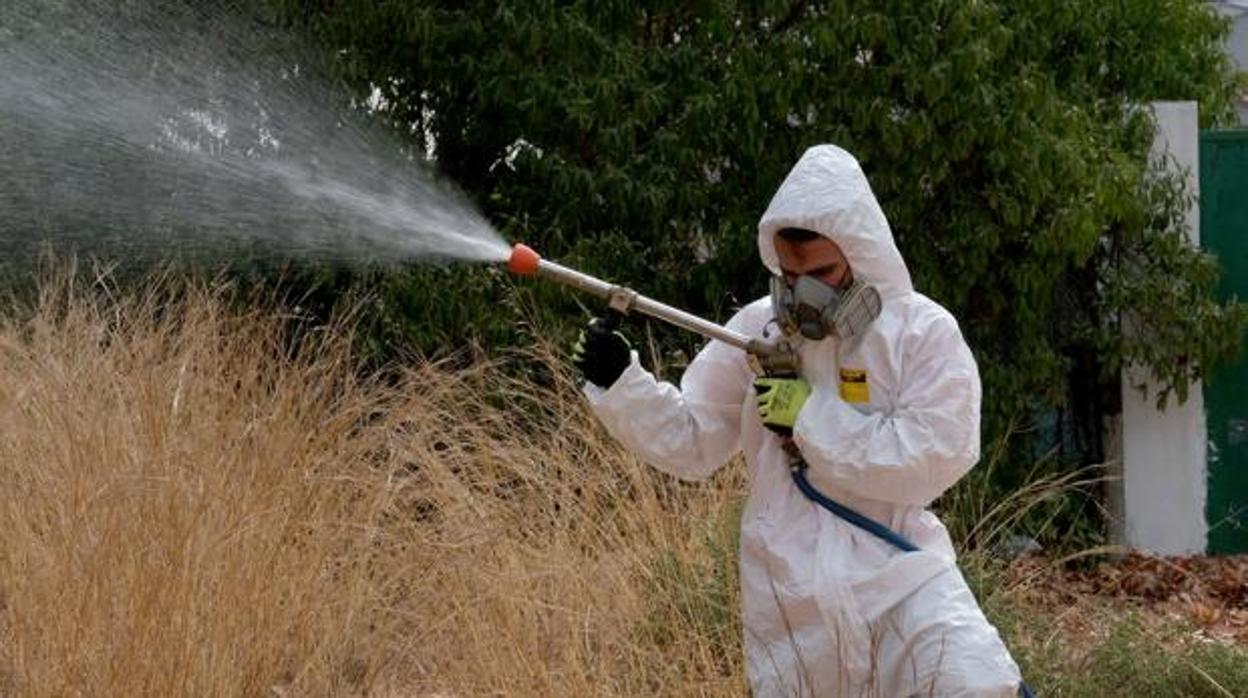 Tareas de fumigación