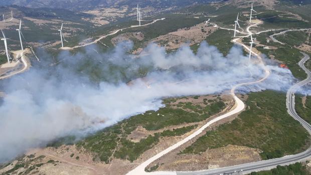 Reabre la N-340 tras ser estabilizado el incendio de Tarifa