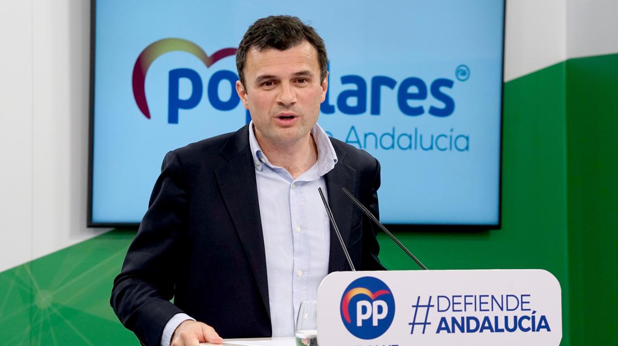 Bruno García, parlamentario del PP por la provincia de Cádiz