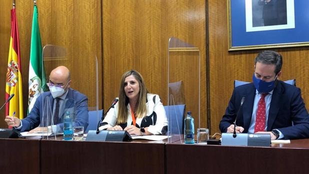 Irene García reclama al Parlamento unidad contra la despoblación y trato igualitario para la provincia