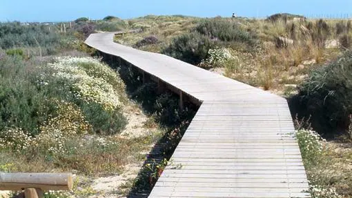 Diez senderos para hacer en Cádiz este otoño