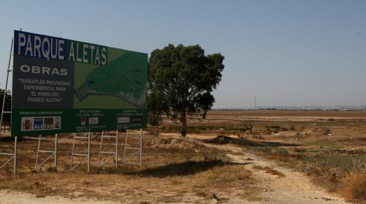 Teófila Martínez plantea un frente común para la puesta en marcha de Lógica