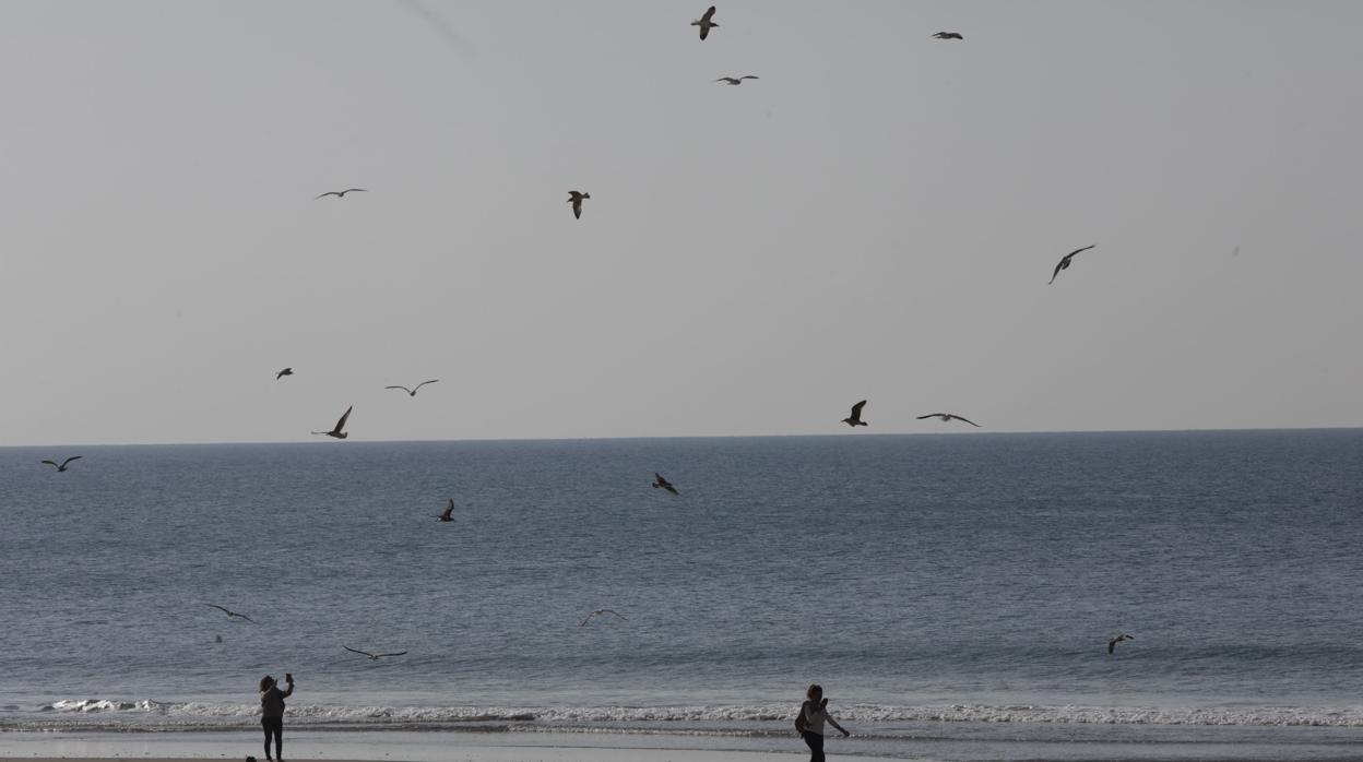 El tiempo en Cádiz: jornada de nubes y claros con algunas lloviznas