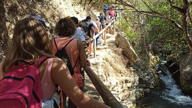 «El sendero del Majaceite se ha convertido en una procesión con atascos y miles de paseantes»