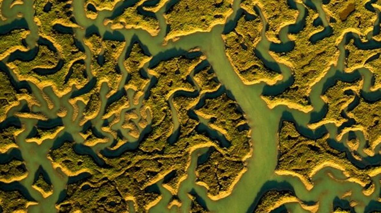 Los humedales de Chiclana, foto del dia en National Geographic