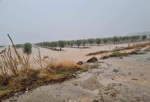 Cortados al tráfico dos tramos de la A-92 a su paso por Osuna por el desbordamiento del arroyo Salado