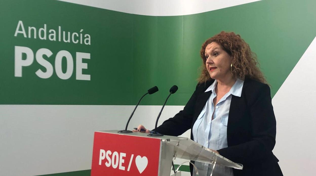 PSOE llevará al Parlamento la situación de los profesores del IES Las Salinas de San Fernando