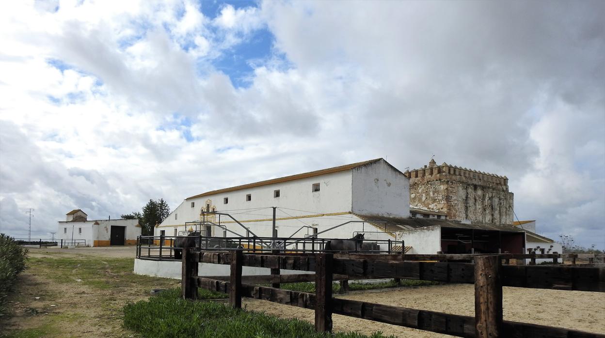 A la derecha de la imagen la torre de Troya, adosada a la hacienda del mismo nombre en El Palmar