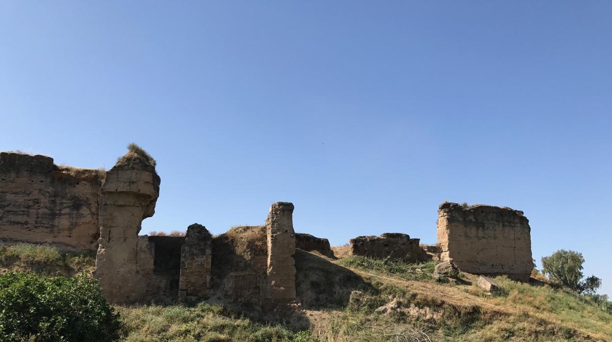 Restos del castillo de Lora del Río