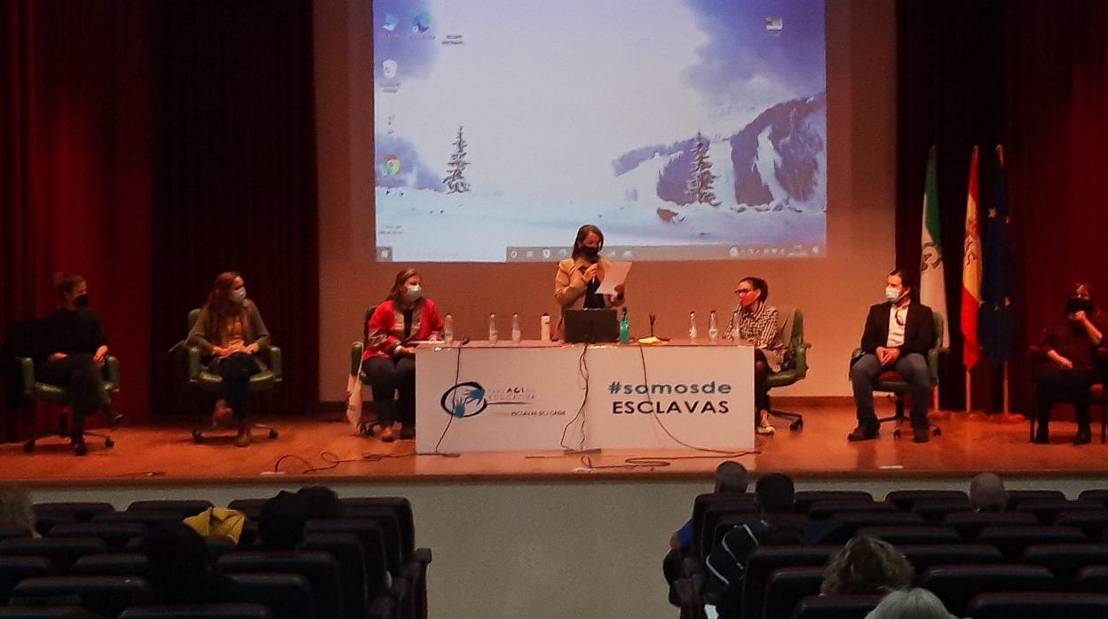 Un momento de la mesa redonda celebrada esta tarde