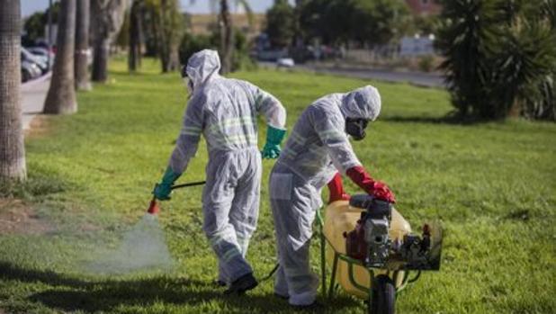 Sanidad ve «poco probable» que aparezcan nuevos casos de Fiebre del Nilo