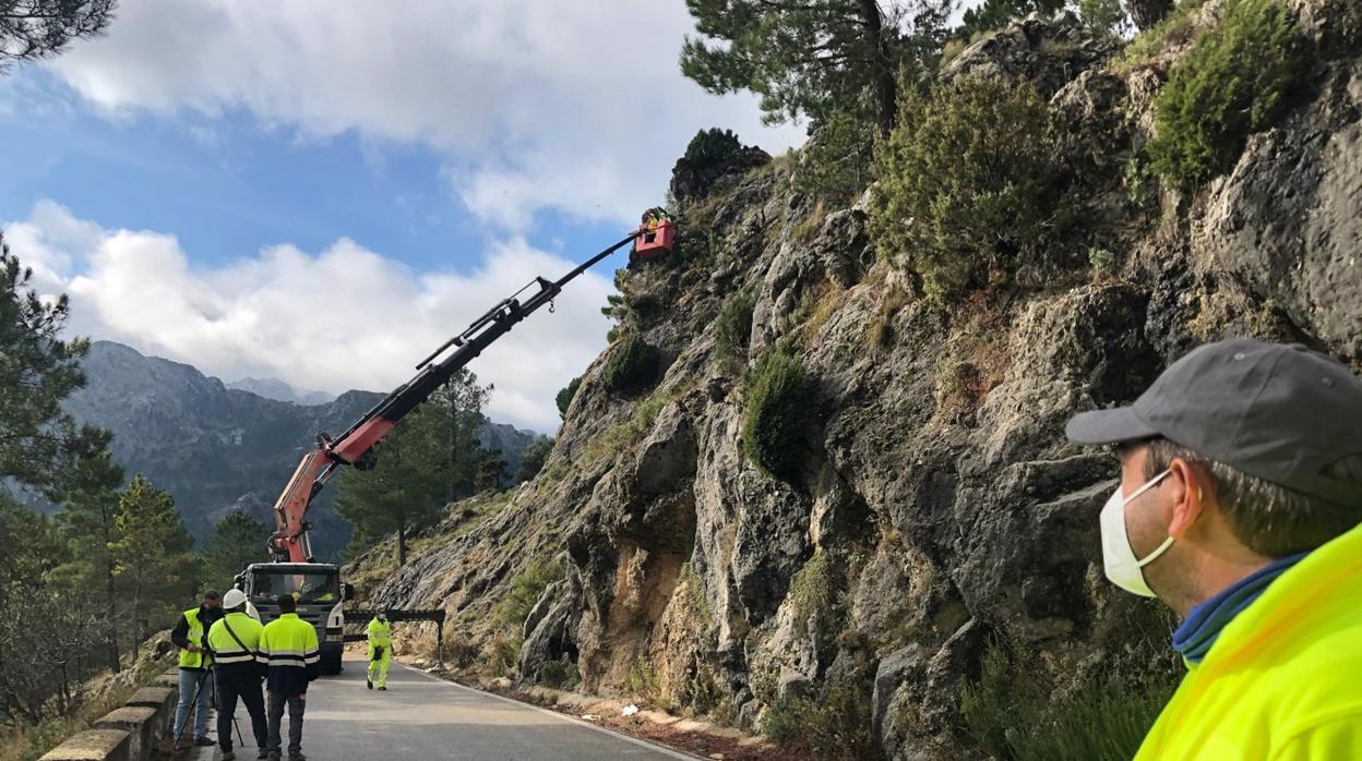 Abre al tráfico la carretera de La Palomas