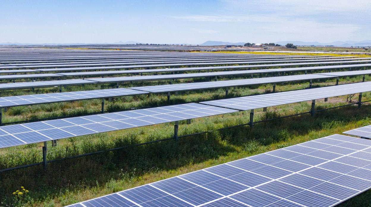 Solarcentury invertirá 75 millones en tres plantas de energía solar en Cádiz