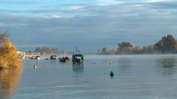 Coria planea un conjunto de embarcaciones eléctricas para conectarse por el río hasta Sevilla