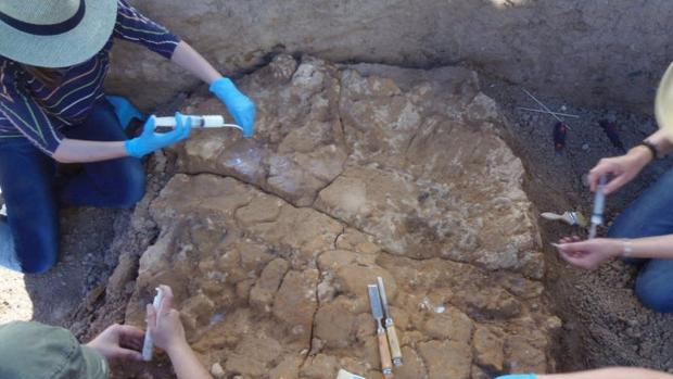 Descubren en Valencina restos de una cabaña prehistórica en «notable» estado de conservación