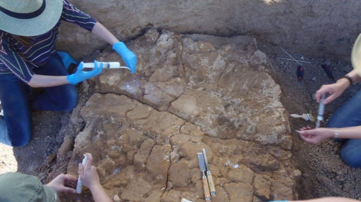 Imagen de la extracción de uno de los fragmentos de adobe de la cabaña prehistórica de Valencina