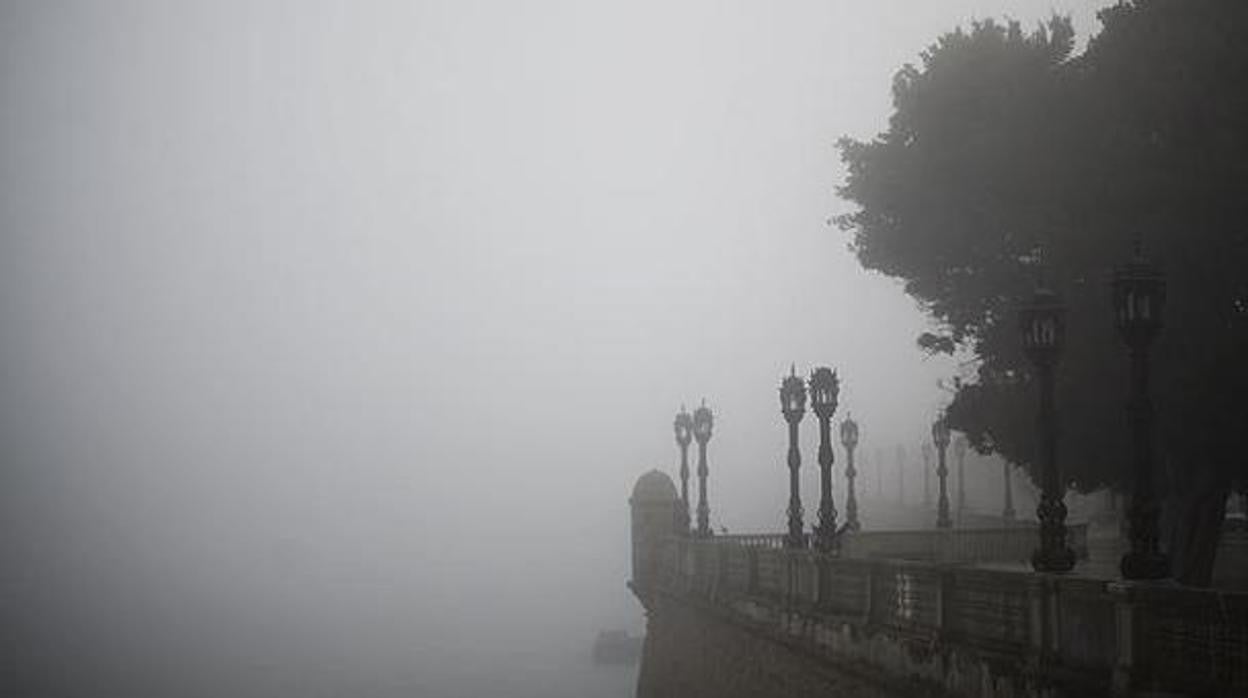 El tiempo en Cádiz: Una densa niebla invade la provincia