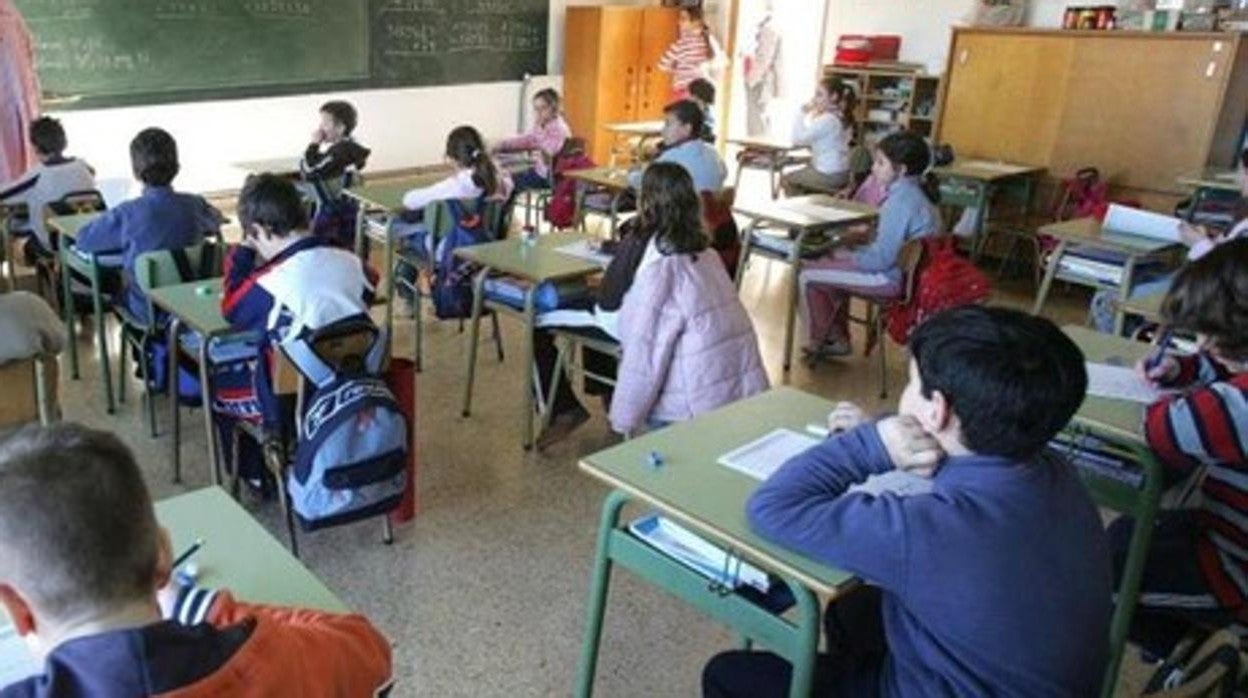 Cs aplaude el decreto de escolarización que blinda la educación pública y la libre elección de centro a los 15.000 alumnos Cádiz