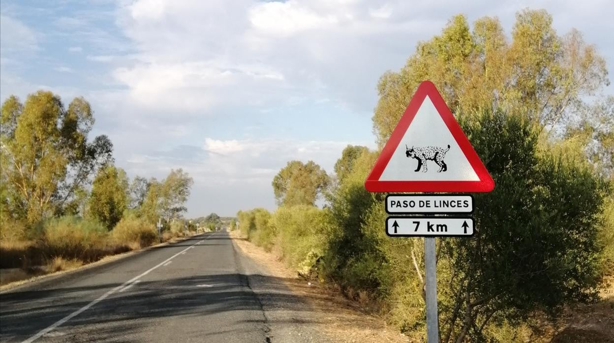 Carretera de la Dehesa de Abajo