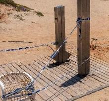 Las playas de Cádiz recuperarán duchas, lavapiés y fuentes tras un año «fuera de servicio» por el Covid