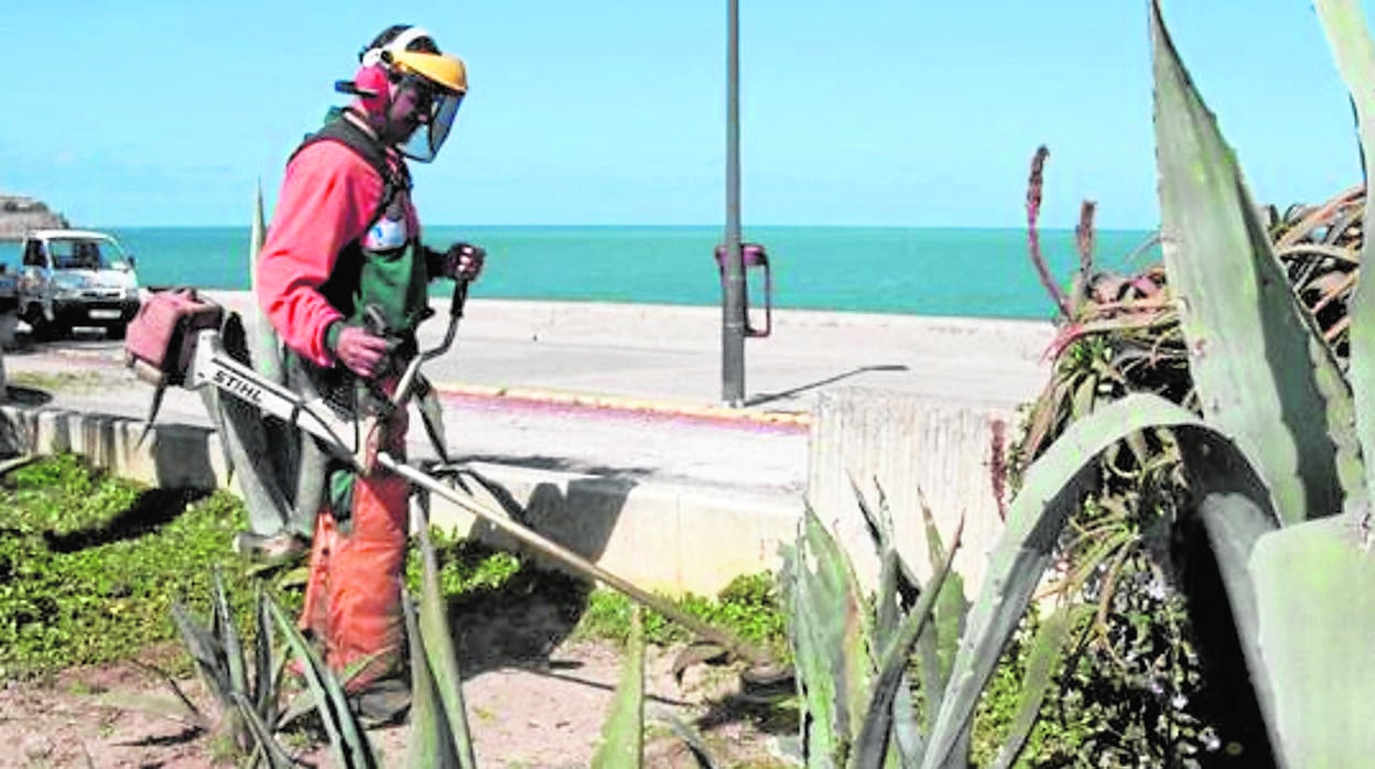 Practicamente el 90 por ciento de la plantilla de Parques y Jardines pertenecen a esta sección sindical.