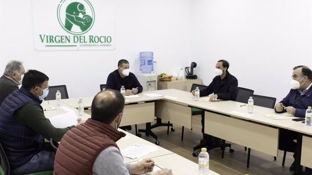 El alcalde de Sanlúcar aborda con las cooperativas agrícolas el registro de la marca 'Patatas de Sanlúcar'