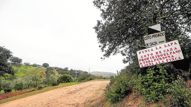 El acusado del homicidio de un niño en una montería en Guillena no logra imputar al organizador