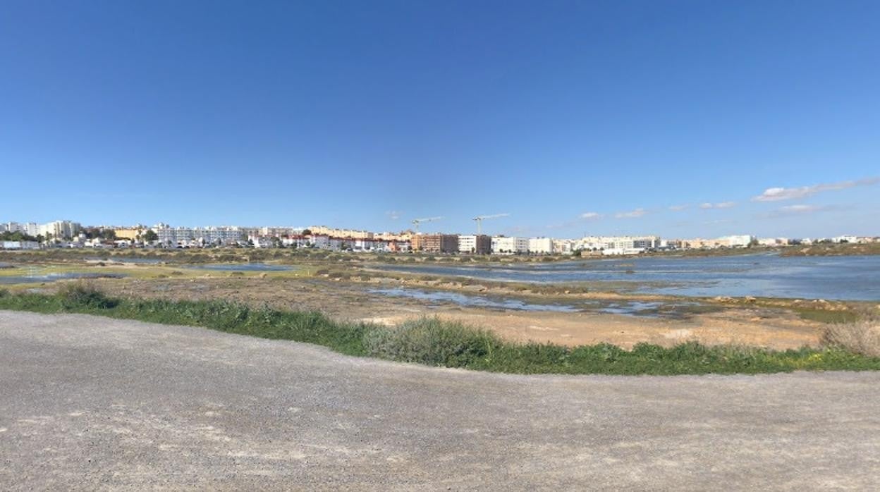 Vista de San Fernando desde uno de los senderos de las marismas