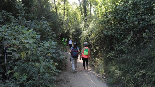 Gente caminando por el sendero del río Majaceite.