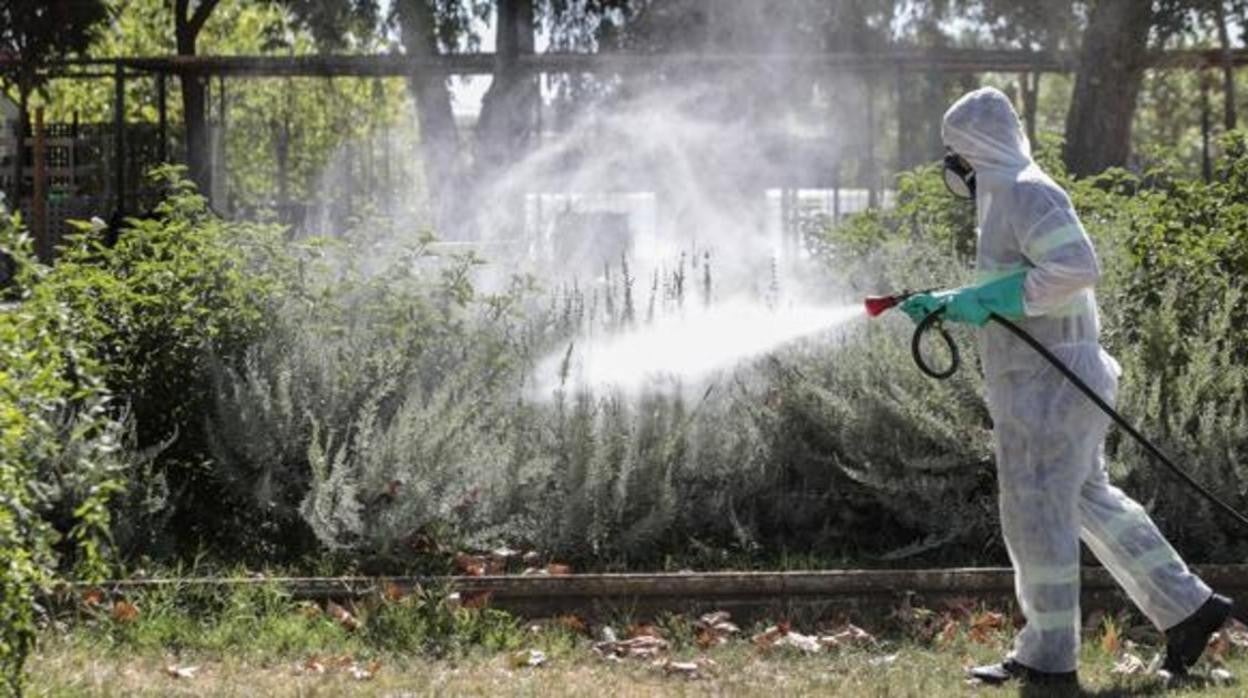 Un operario fumiga una zona verde en Coria del Río, este pasado verano