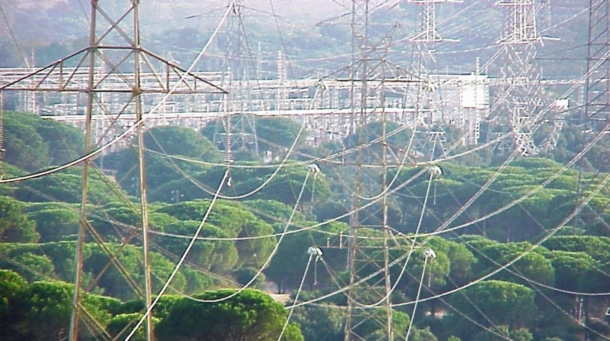 Ecologistas manifiesta su oposición al enlace submarino de energía eléctrica entre La Línea y Ceuta