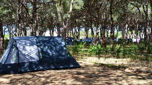 Parcela en el camping.