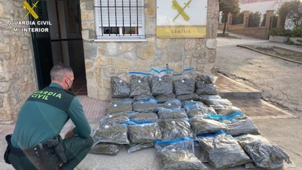 Detenido un vecino de Bornos transportando 52 kilos de cogollos de marihuana en un vehículo robado