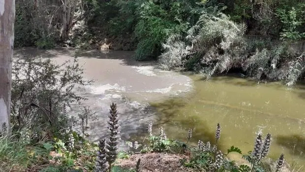 Denuncian un nuevo vertido de aguas fecales al río Alcalá de Guadaíra