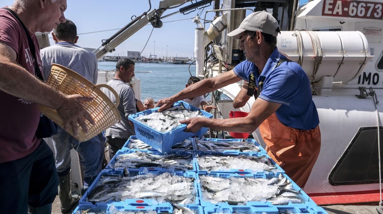 Esta semana se podrán pedir las ayudas de la Junta para barcos y armadores afectados por el alga invasora