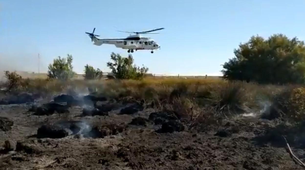 Logran controlar un incendio forestal en el Pinar de la Algaida, en Sanlúcar