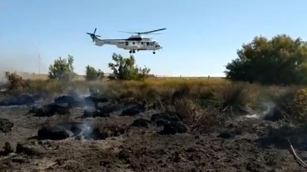 Logran controlar un incendio forestal en el Pinar de la Algaida, en Sanlúcar