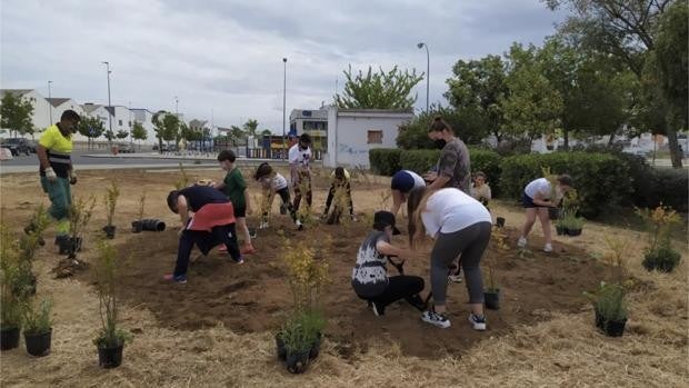 Una «marea verde» protagonizada por los escolares de Utrera