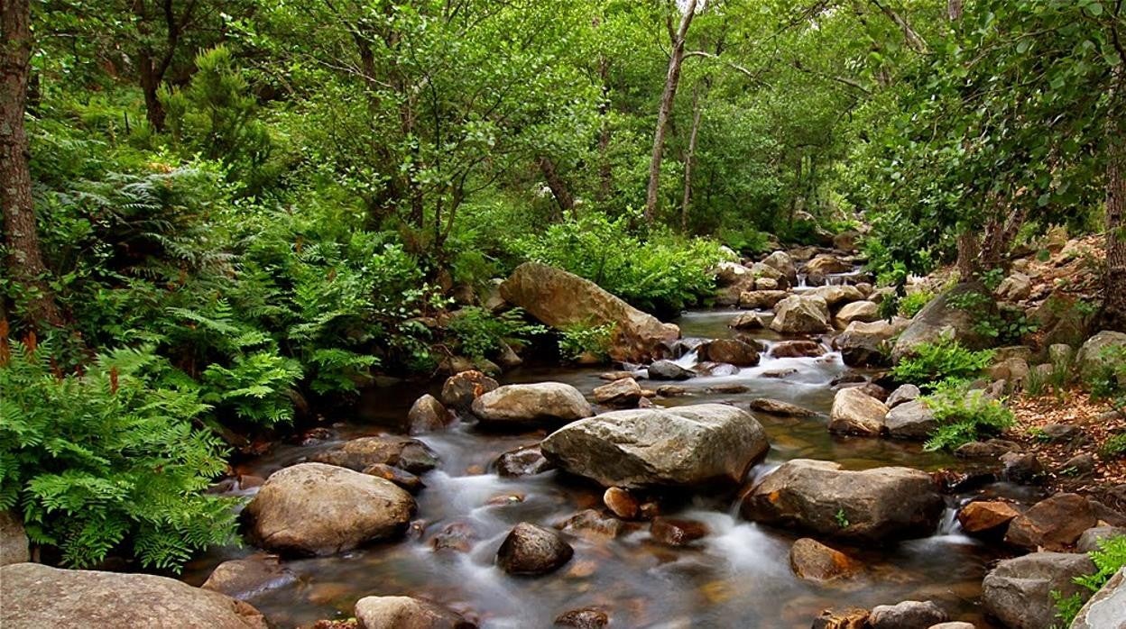 Parque Natural de los Alcornocales