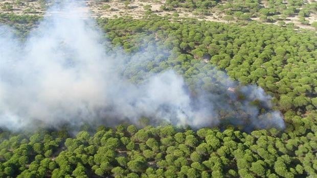 La Junta realiza este lunes un simulacro de incendio forestal en Vejer de la Frontera