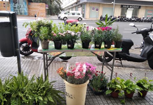 El puesto de flores que Victoria montaba a diario en la calle.