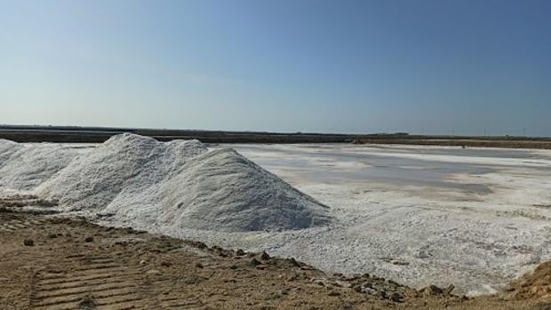 San Fernando y la UCA colaboran para impulsar el estudio y la divulgación de las salinas