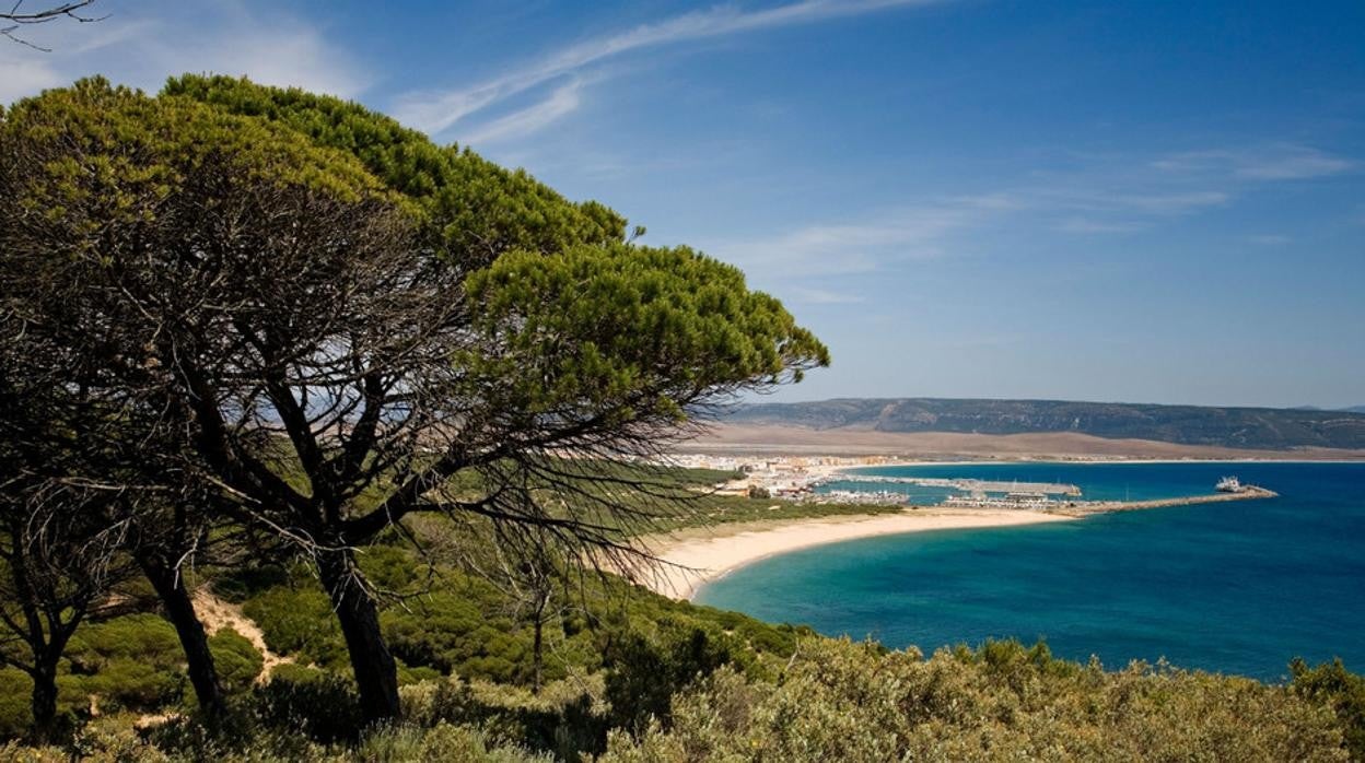 Descubre los mejores rincones rodeados de naturaleza y mar para vivir una experiencia única en Cádiz