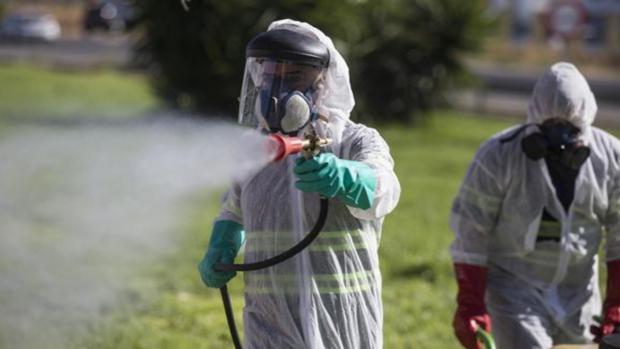 Un paciente con Covid, primer caso de Virus del Nilo de este verano en Sevilla