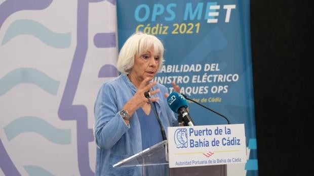 Cádiz acogerá un encuentro internacional sobre conexión eléctrica de buques en puerto el 8 de julio