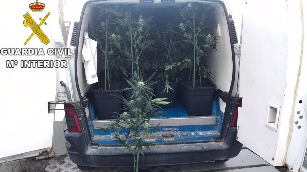 Detenidas tres personas sorprendidas transportando bolsas de marihuana en Trebujena